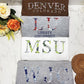 Customizable college floral embroidered crew neck shirt/hoodie